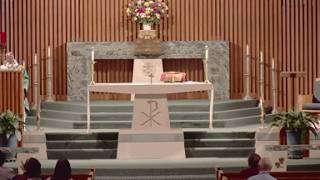 Daily Mass - Thursday