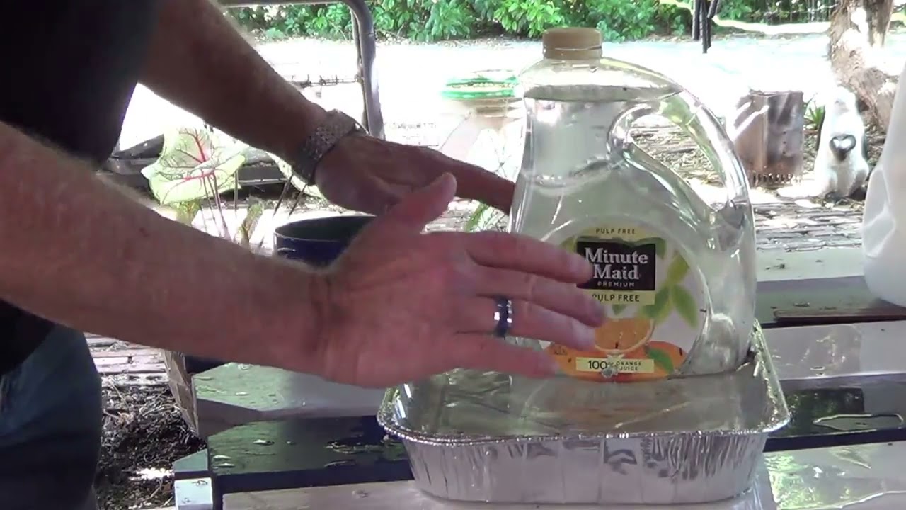 Homemade Pet Water Feeder - YouTube