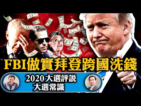 FBI确认拜登子跨国洗钱罪嫌，硬盘们带来2016希拉里电邮门冲击？ 美国大选常识： 一般人玩不起，竞选的钱哪儿来的【2020大选评说】