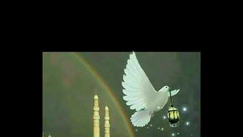 تلاوة من أواخر سورة البقرة  ---وائل الحسني