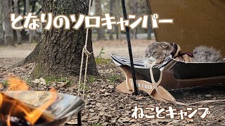 【猫とキャンプ】焚き火と猫の癒し時間 ⛺ソロベースEX