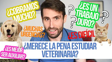 ¿Cuál es la mejor escuela de medicina veterinaria en México?
