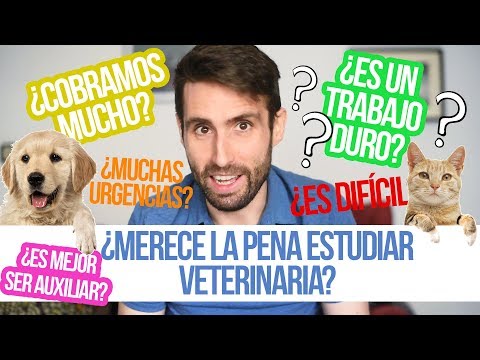 Video: Cómo conseguir un trabajo como un veterinario Tech