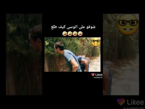 قال فكرو فارا طلع اكبر من راسو لقطة من مسلسل هارون