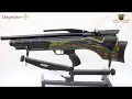 مراجعة بندقية دايستات بولسار Preview The Pulsar Air Gun 
