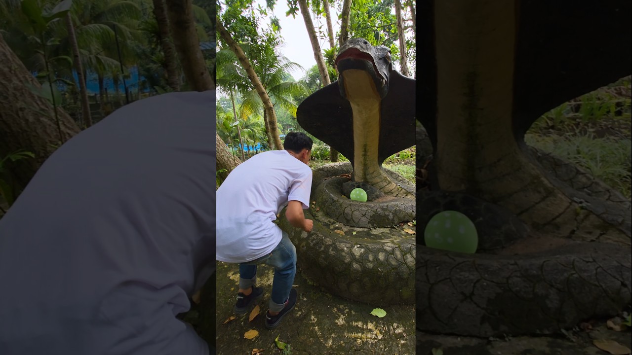 abang resih lagi lihat patung ular