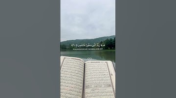 Surah Al-Qamar 💚 القارئ إسلام صبحي #quran #qurantilawat #islamsobhi #اسلام_صبحي