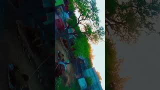 #video mere gaon ka mosam
