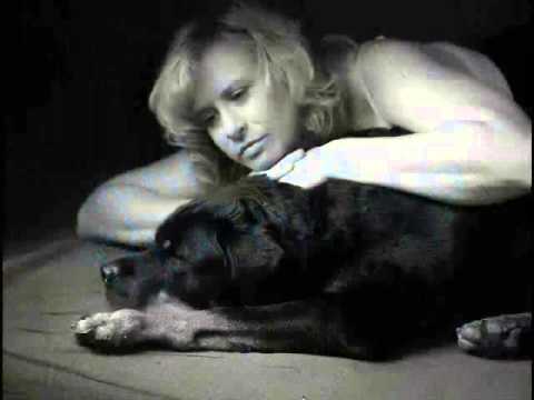 Video Hold On For Your Love
