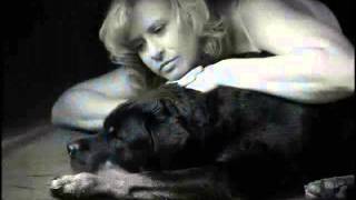 Watch John Hiatt Hold On For Your Love video