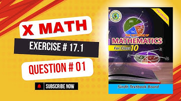 Exercise 17.1 Question 1 Complete | Sets and Function | Class X Sindh Board | Rayyan Haider Ali