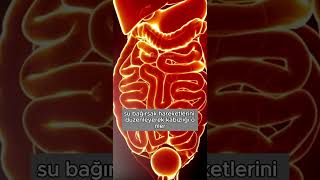 1 Kadın 1 Hafta Boyunca Her Gün 3 Litre Su Içerse