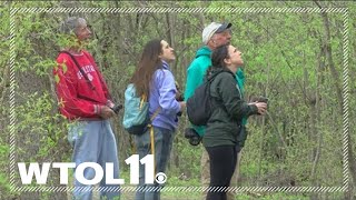 Birders flocking to northwest Ohio are passionate about their sport screenshot 5