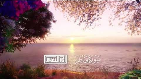 سورة فاطر بصوت الشيخ احمد النفيس
