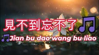 見不到忘不了🎵Jian bu dao wang bu liao超好聽🎵好听的老歌