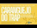 CARANGUEIJO DO TRAP E O HIBRIDISMO CULTURAL EM TORNO DAS MÚSICAS TRADICIONAIS NORDESTINAS