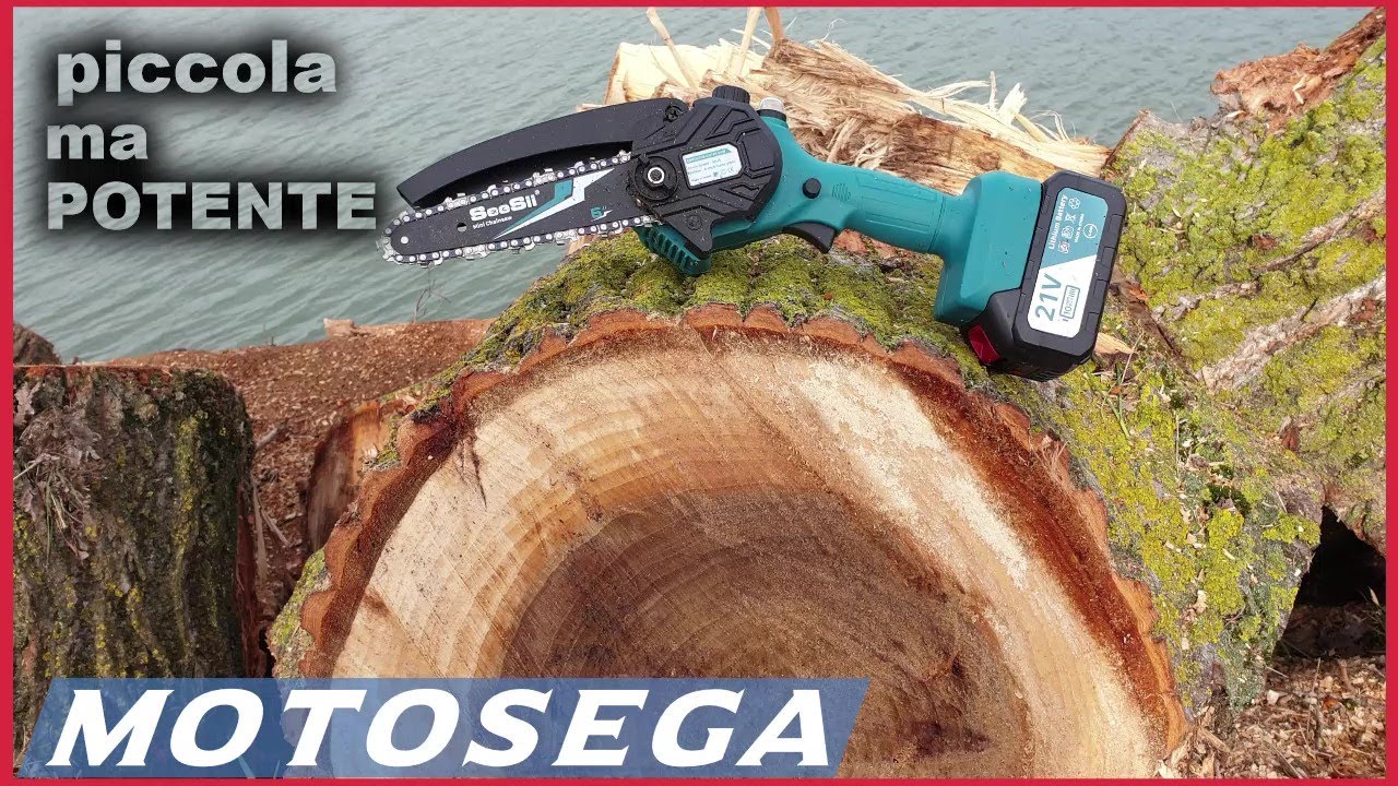 Mini Motosega a Batteria Portatile, Seesii 6 Pollici Sega a Batteria per  Potatura con Caricatore, 2 Batterie e Oliatore Automatico, Motosega  Elettrica Per il Taglio del Legno e Giardinaggio : : Giardino