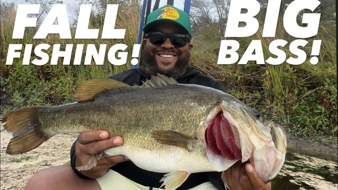 How To Catch BIG BASS kayak fishing in the Fall