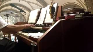 Video thumbnail of "El Ave Carmelitano (Remasterizado)"