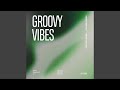 Groovy vibes extended mix