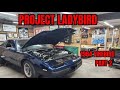 Project Ladybird 2- The Walkaround (Intro 2/2)