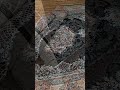 فرش طرح 700شانه ورژن طلاکوب تیام سرمه ای کلکسیون صدف کد 7112044