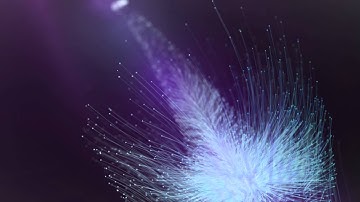 Trapcode Particular - Dandelion