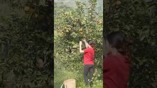 The Life of a 17YearOld Single Mother  Harvest orange gardens #breastfeeding #buildinglife