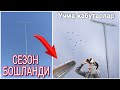 УЧМА КАБУТАРЛАР УЧУН СЕЗОН БОШЛАНДИ КОПКОН ЯСАШ 📞943820099 ANDIJON UCHMA KABUTARLARI QOPQON YASASH