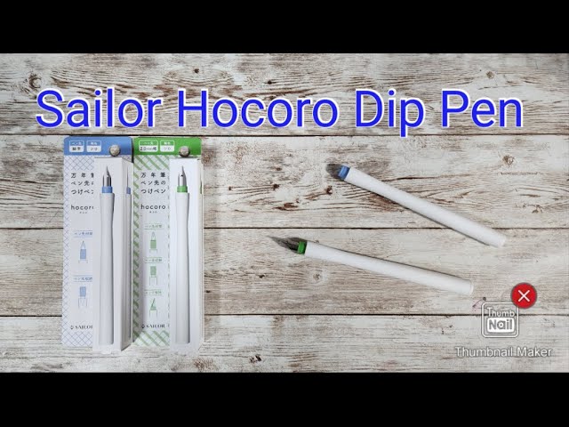 Sailor Hocoro Dip Pen - 1st Impressions 