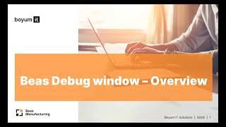 Beas Debug window - Overview