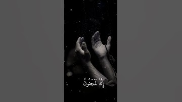 سورة القلم _ الآية(51_52)
