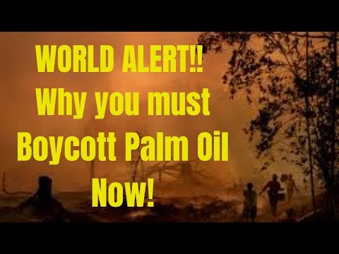 World Alert!! Why we MUST BOYCOTT PALM OIL!
