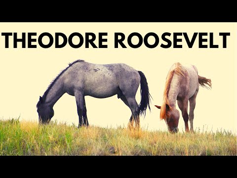 The Best of Theodore Roosevelt National Park: 17 things to do + Wild Horses &amp; Medora, North Dakota