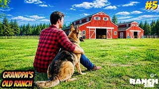 Our New PET DOG Is Here 🐶 - Ranch Simulator #5