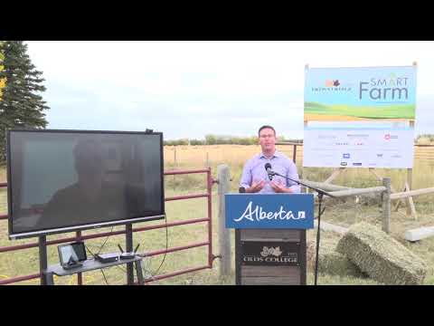 Supporting Alberta’s Agri-food Industry  – September 29, 2020