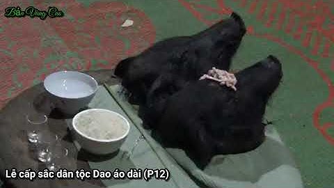 Lễ cấp sắc Dao khăn trắng (P Cuối) thầy cúng thủ lợn kết thúc - BVC