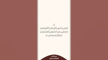 تلاوة في ٣٠ ثانية سورة النمل الآيات من ٦٥ إلى ٦٦ الشيخ فيصل غزاوي