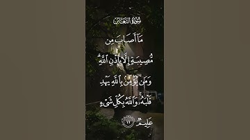 سورة التغابن ماأصاب من مصيبة إلا بإذن الله ومن يؤمن بالله يهد قلبه والله بكل شيء عليم الاية ١١