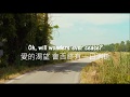 Sufjan Stevens-Mystery of Love愛的奧秘 Lyrics🍑 歌詞翻譯 (《以你的名字呼喚我》電影插曲)OST Call Me By Your Name