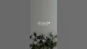 علي جابر | #سورة_الزمر #قرآن #القرآن_الكريم #قران_كريم #quran