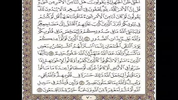الآية 156 من سورة آل عمران
