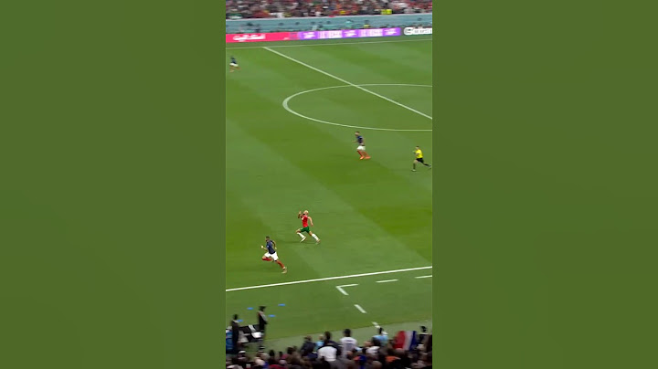 أسود الأطلس.. فخر إفريقيا والعرب! 🦁🌍
