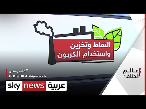 فيديو: هل الغابات بالوعة الكربون؟