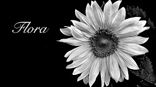 Flora
