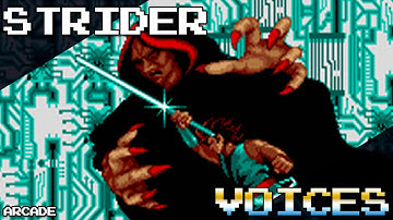 STRIDER   GRANDMASTER MEIO HMM IT IS STRIDER HIRYU