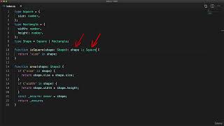 41 User Defined Type Guards