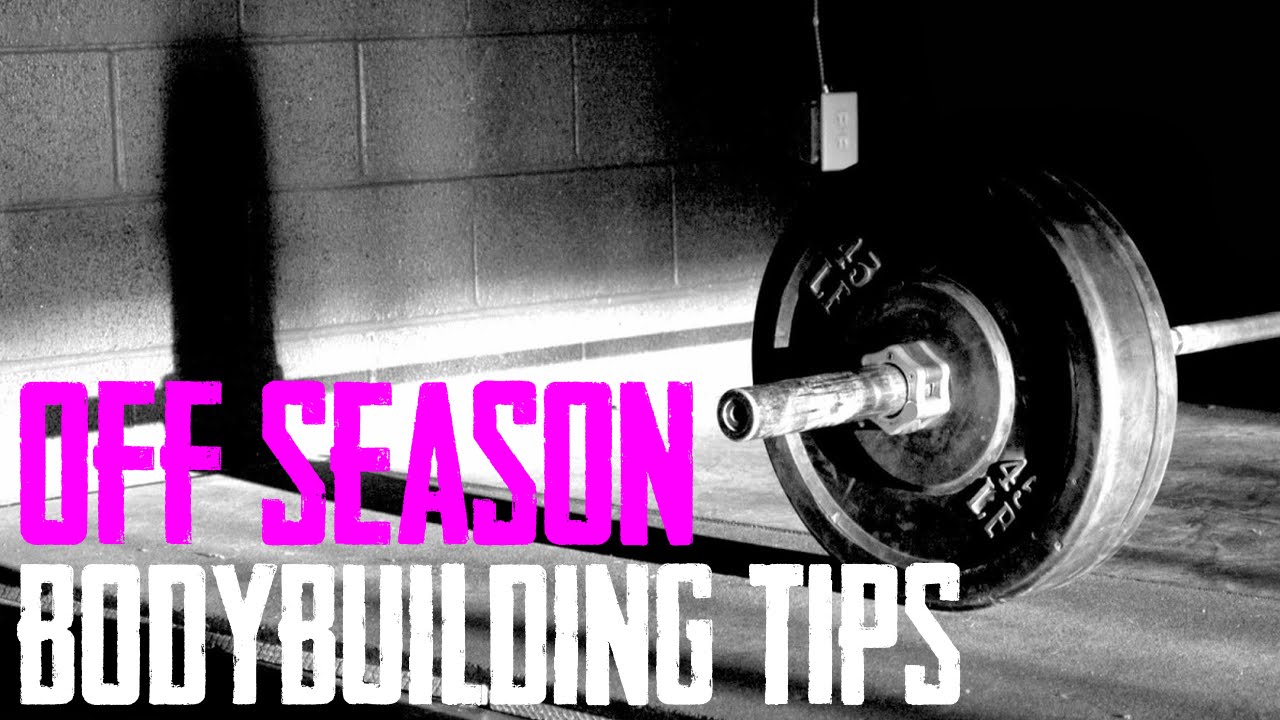 Off Season BodyBuilding Tips Bulking For Beginners YouTube