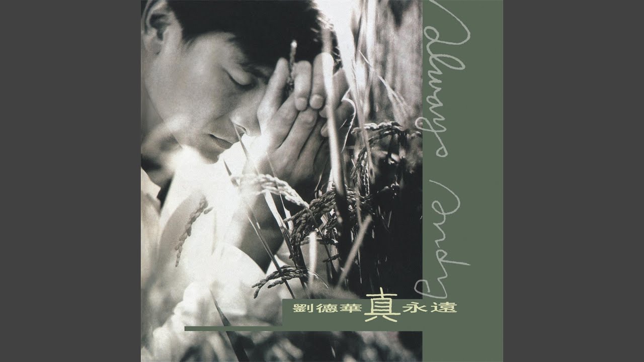 忘了隱藏 - Wang Le Yin Cang
