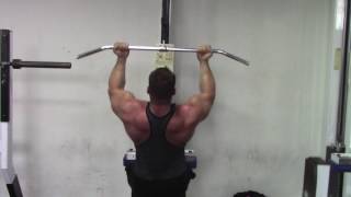 Back day EVOLUTION: Road to 300